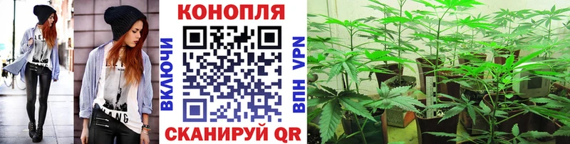 Канабис VHQ Жиздра